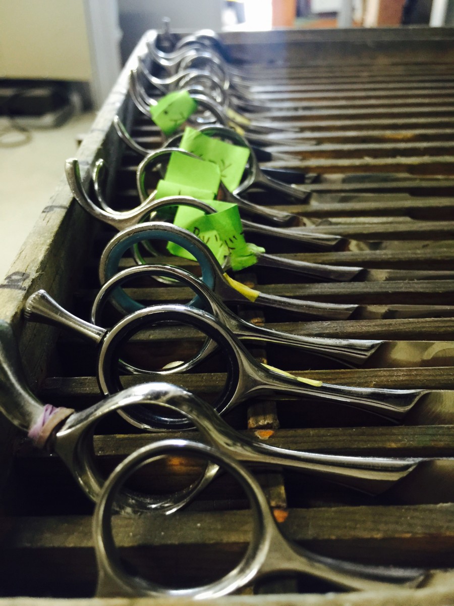 トリミングシザー（多め）