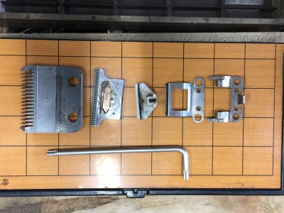 海外のバリカン