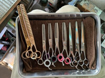 トリミングシザー