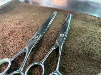 期待に応えるシザー