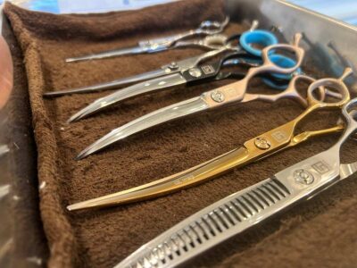 暖かい。少しだけ。