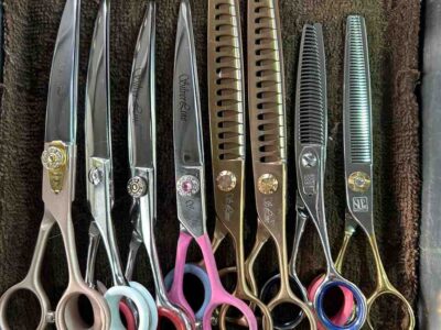 さらにスパスパ切れてます！